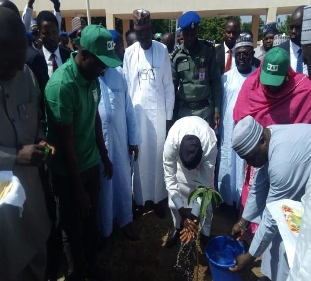 How the Green Adamawa Project Began