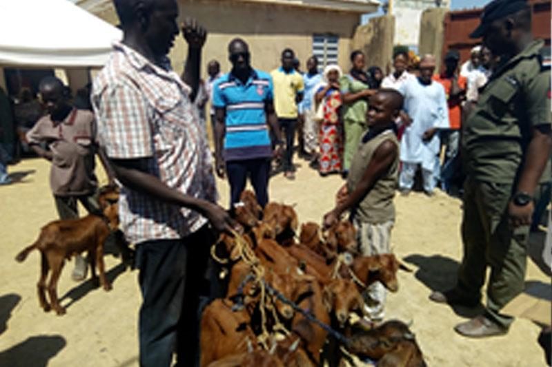 A community leader in Gombi LGA receives a power tiller, dry season farming support, 2018